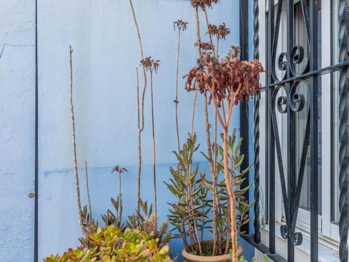 Apartamento Susillo Vacacional Sevilla Ngoại thất bức ảnh